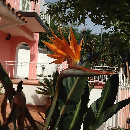 Bed & Breakfast Rosa Angrisano