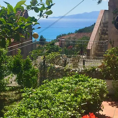 Couette-café Rosa Angrisano 3*
