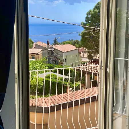 Rosa Angrisano 3*