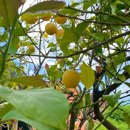 Bed and breakfast Rosa Angrisano Maratea