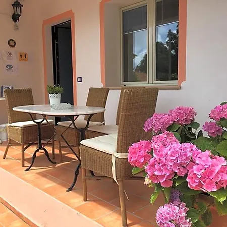 Rosa Angrisano ماراتييا