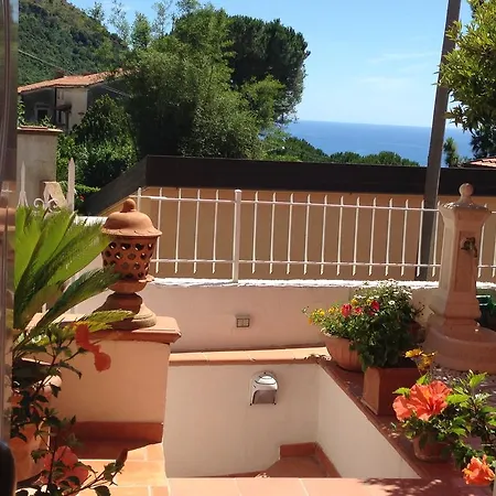 Rosa Angrisano 3*