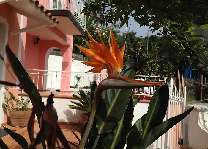 فندق مبيت وإفطار Rosa Angrisano